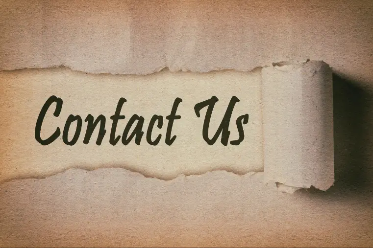 Stock Market Insights